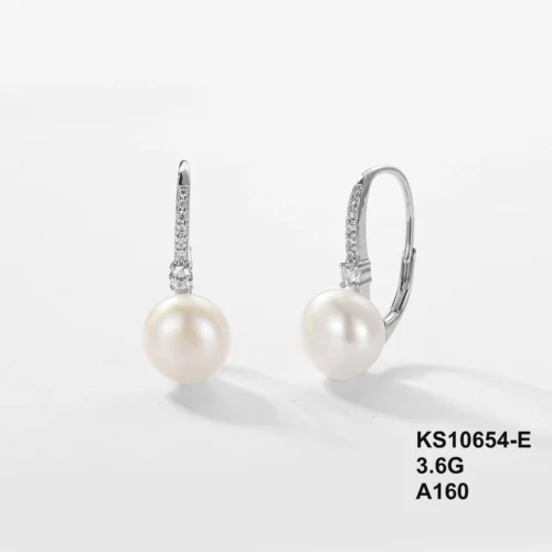 KS10654-E