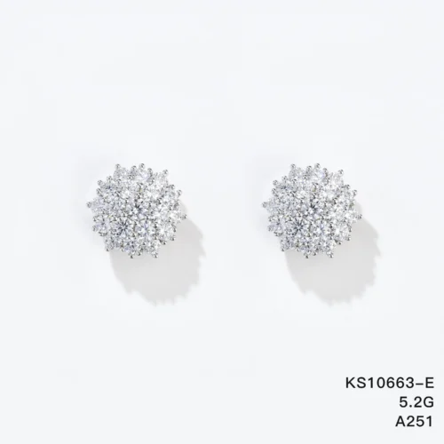 KS10663-E