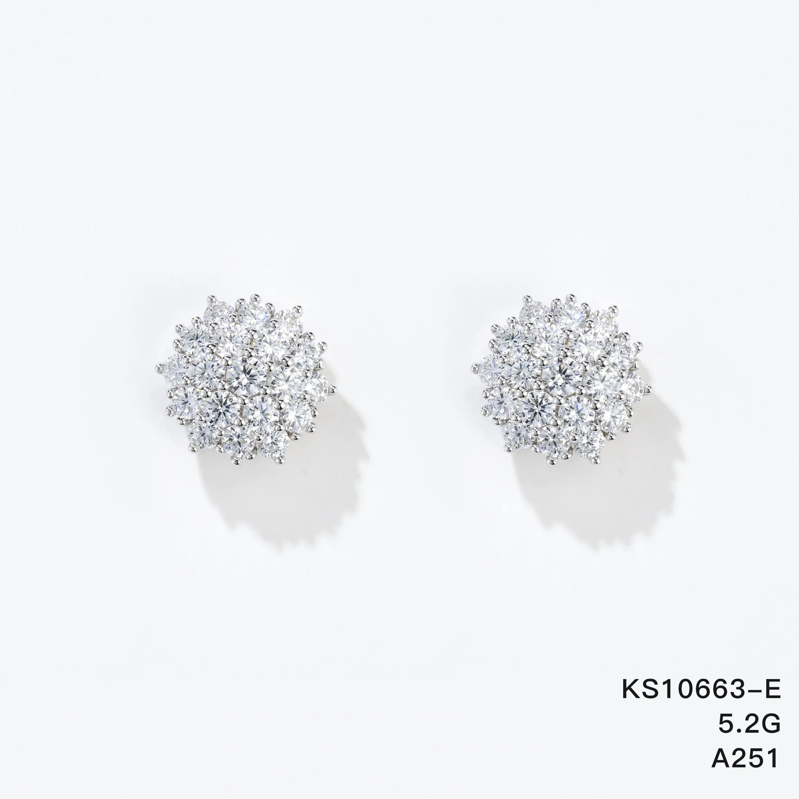 KS10663-E