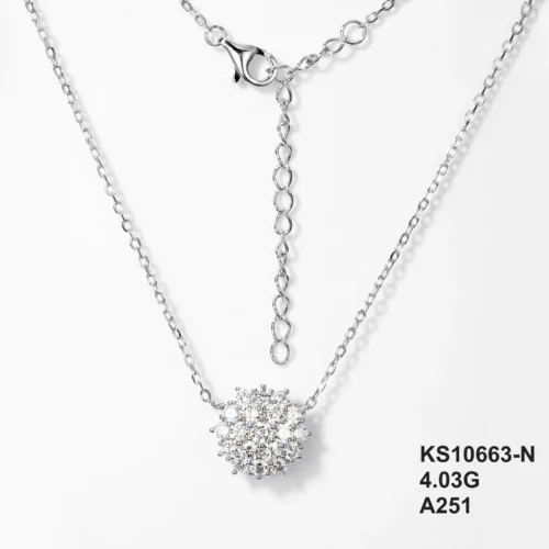 KS10663-N