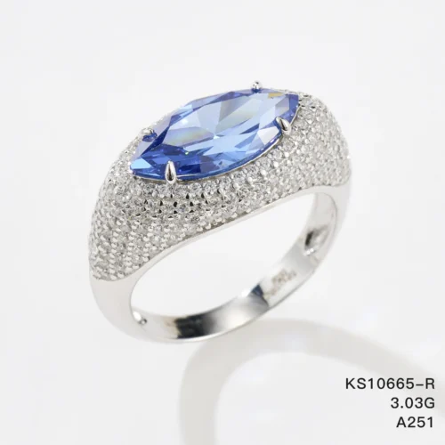 KS10665-R