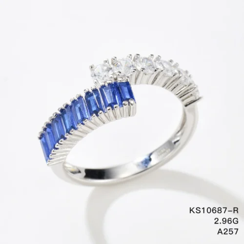 KS10687-R