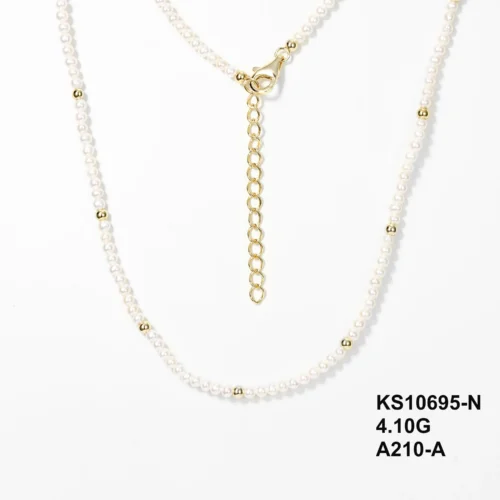 KS10695-N