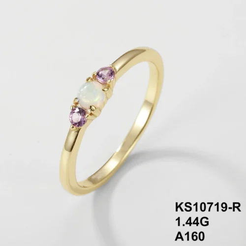 KS10719-R