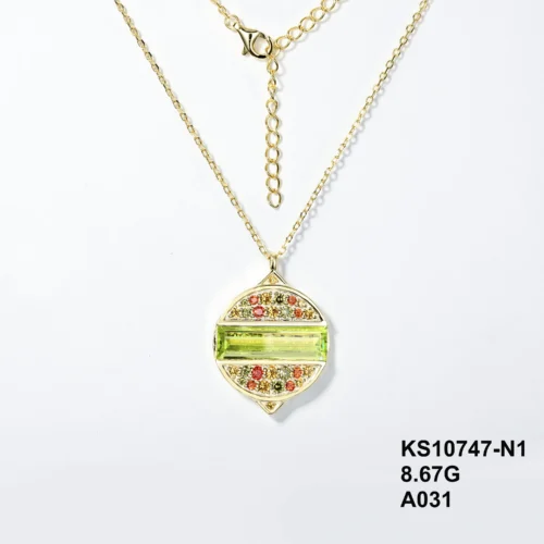 KS10747-N1