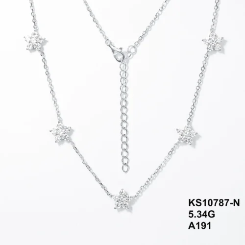 KS10787-N