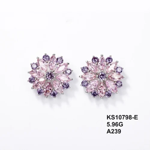 KS10798-E_1