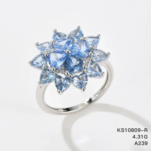 KS10809-R