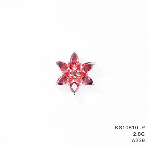 KS10810-P