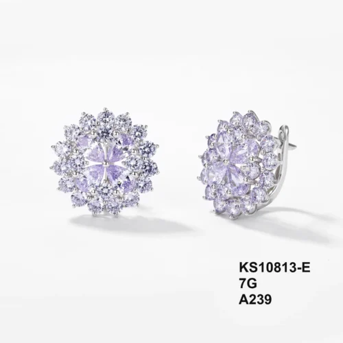 KS10813-E