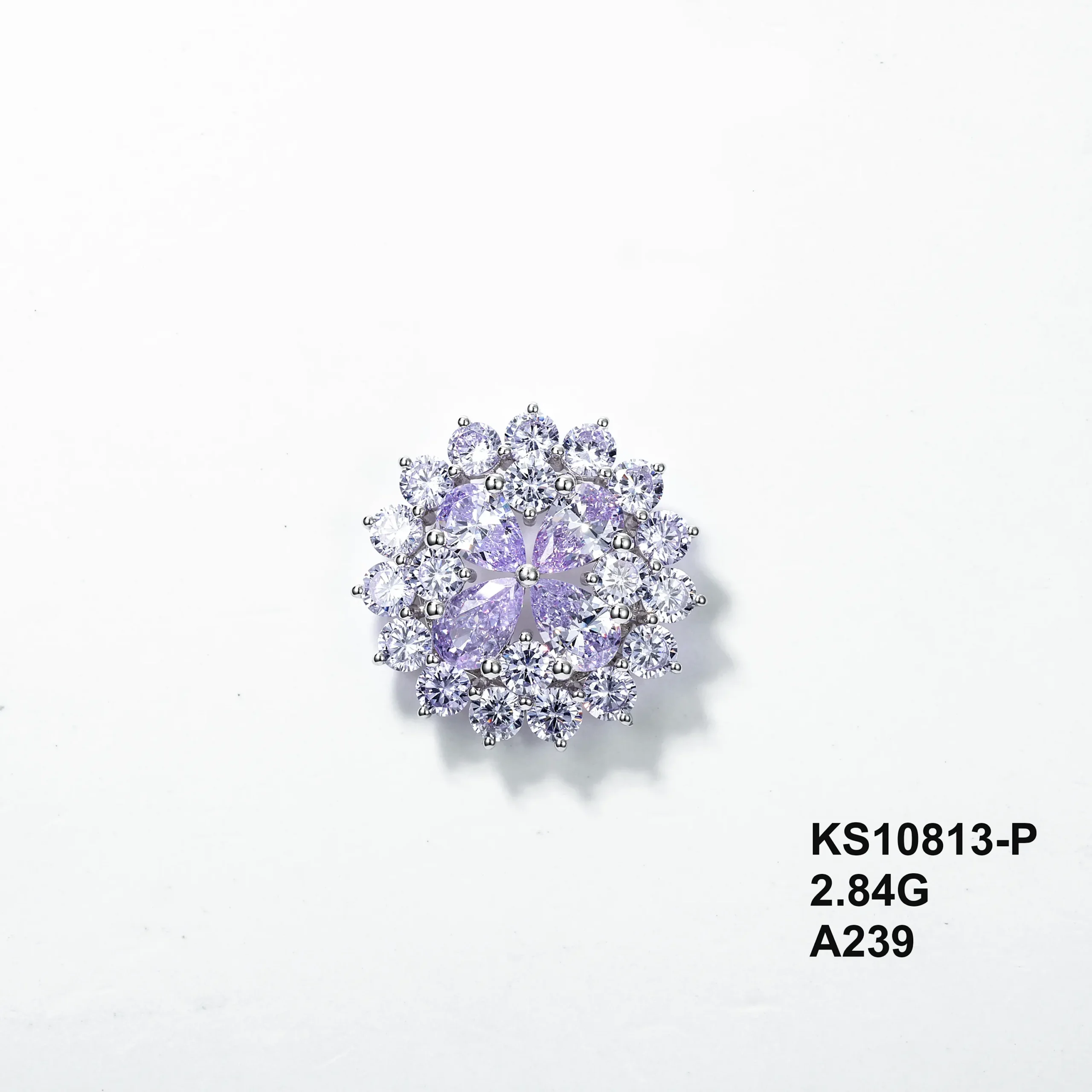 KS10813-P