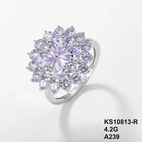 KS10813-R