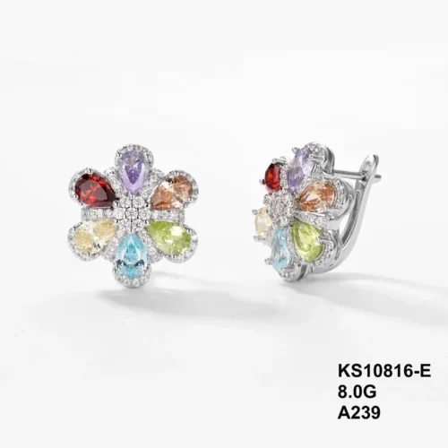 KS10816-E