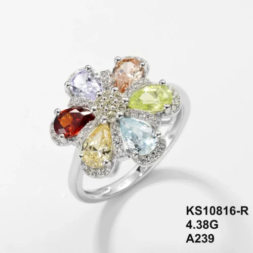 KS10816-R
