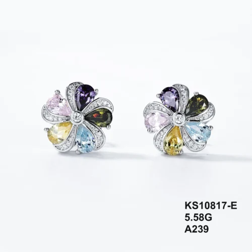 KS10817-E