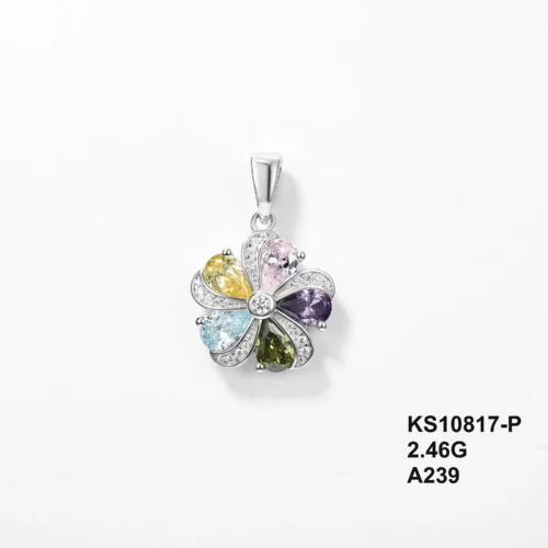 KS10817-P