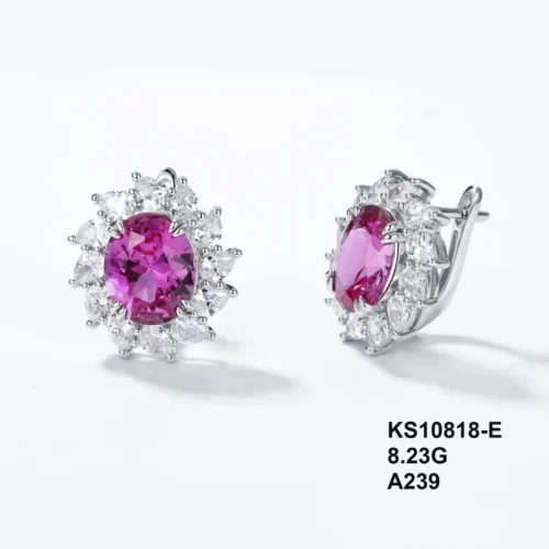 KS10818-E