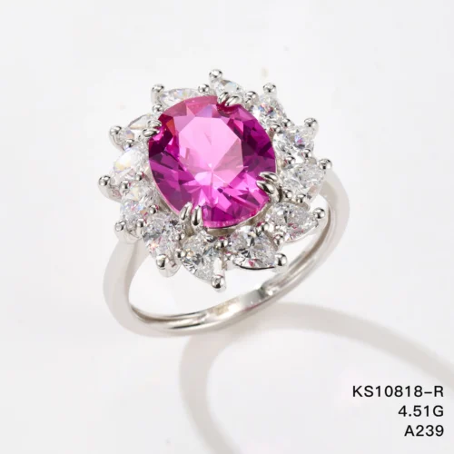KS10818-R