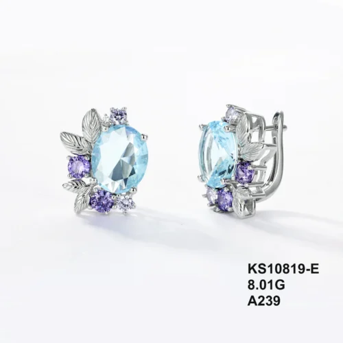 KS10819-E