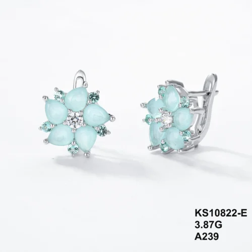 KS10822-E
