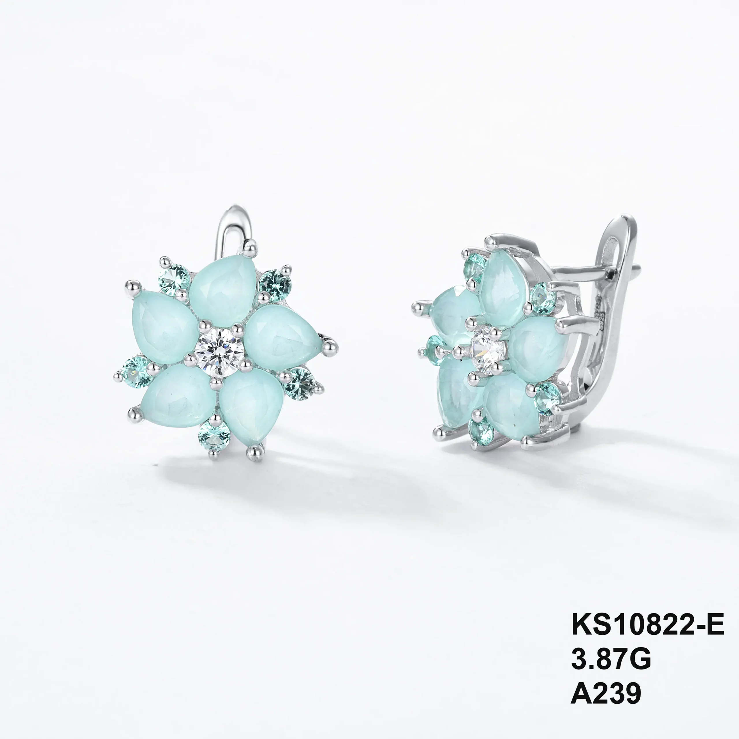 KS10822-E