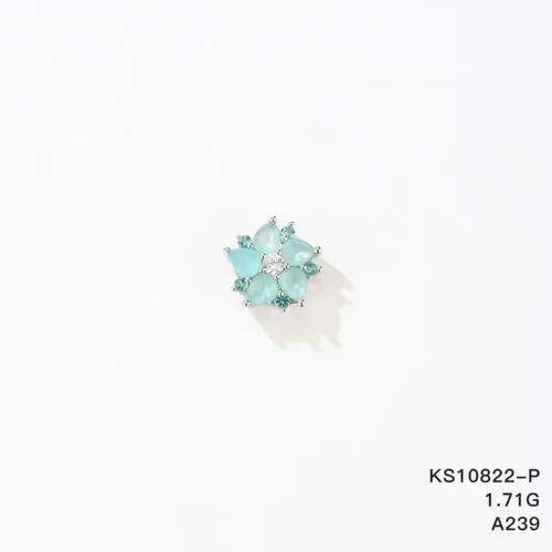 KS10822-P