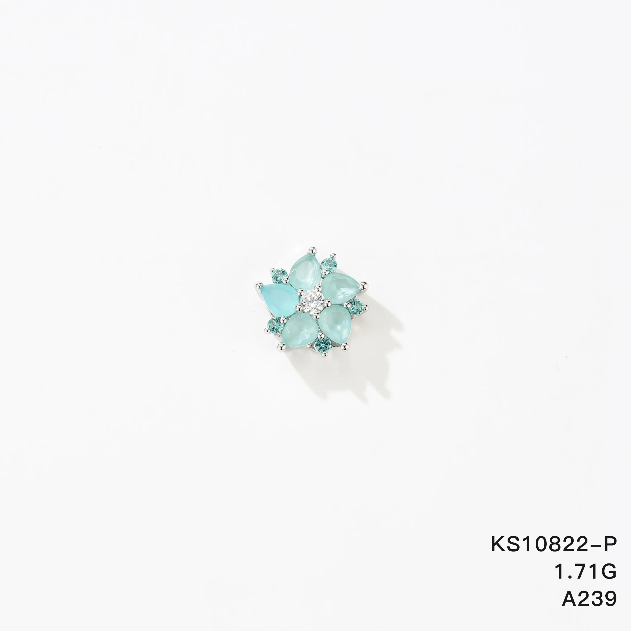 KS10822-P