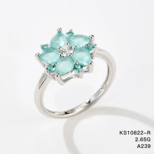 KS10822-R