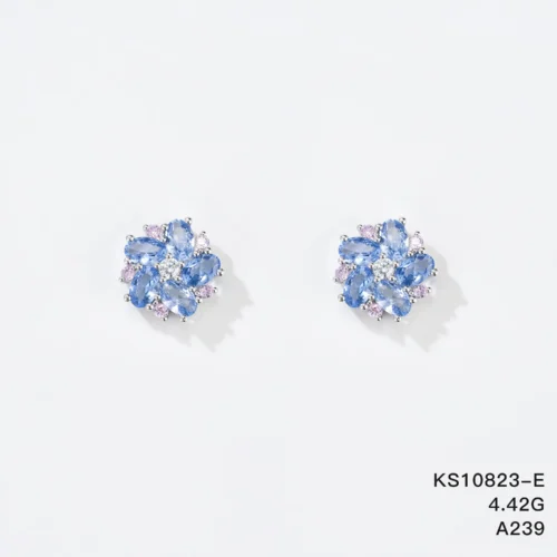 KS10823-E
