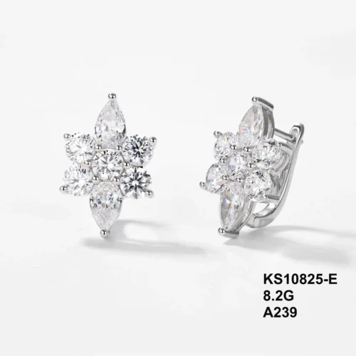 KS10825-E