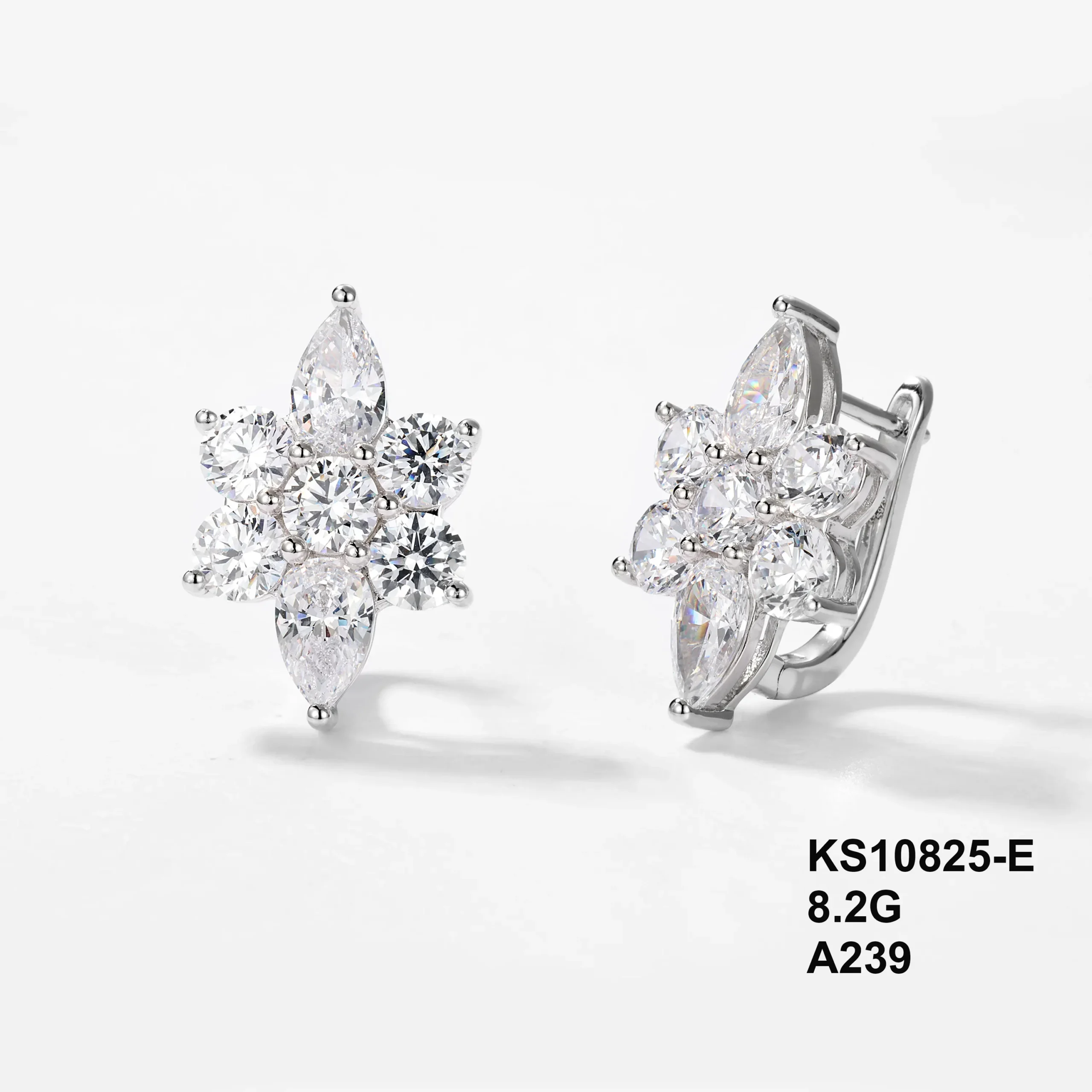 KS10825-E