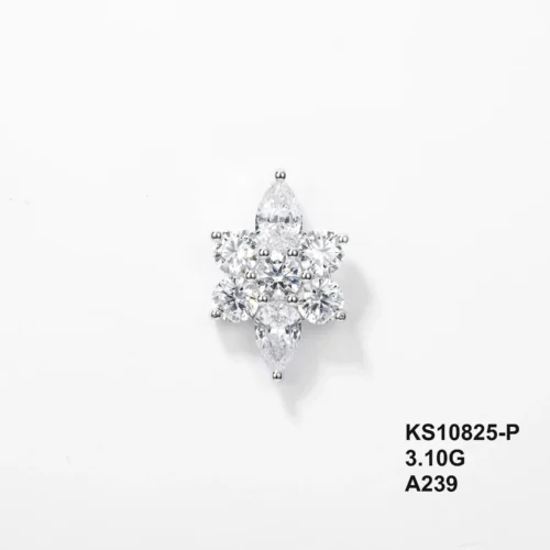 KS10825-P