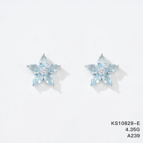 KS10829-E