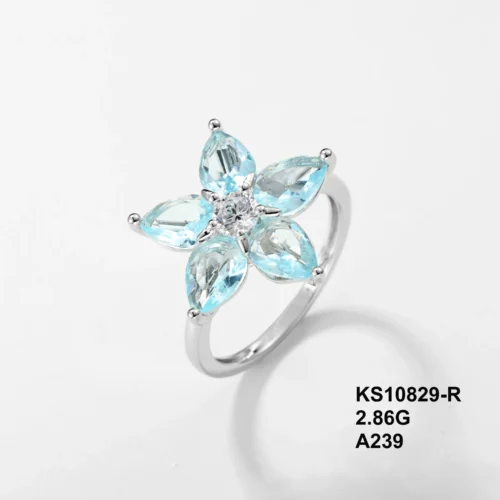 KS10829-R