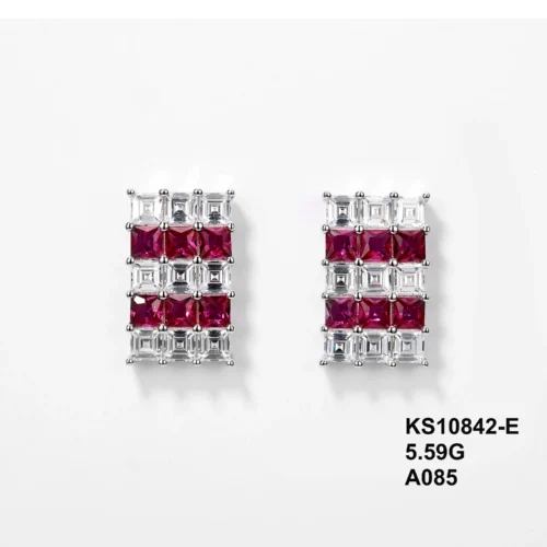 KS10842-E