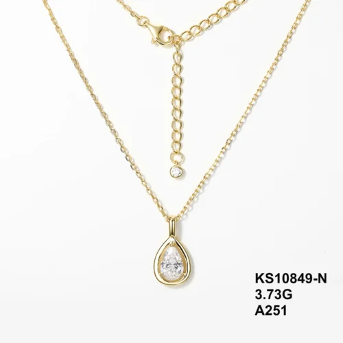 KS10849-N