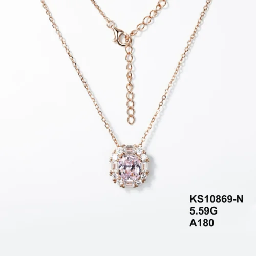 KS10869-N