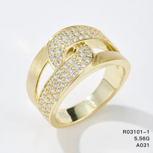 R03101-1