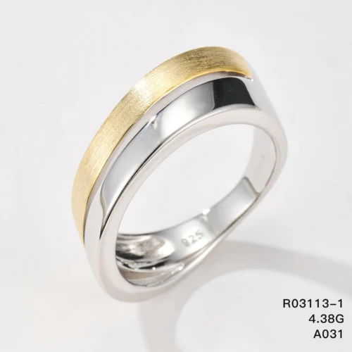R03113-1