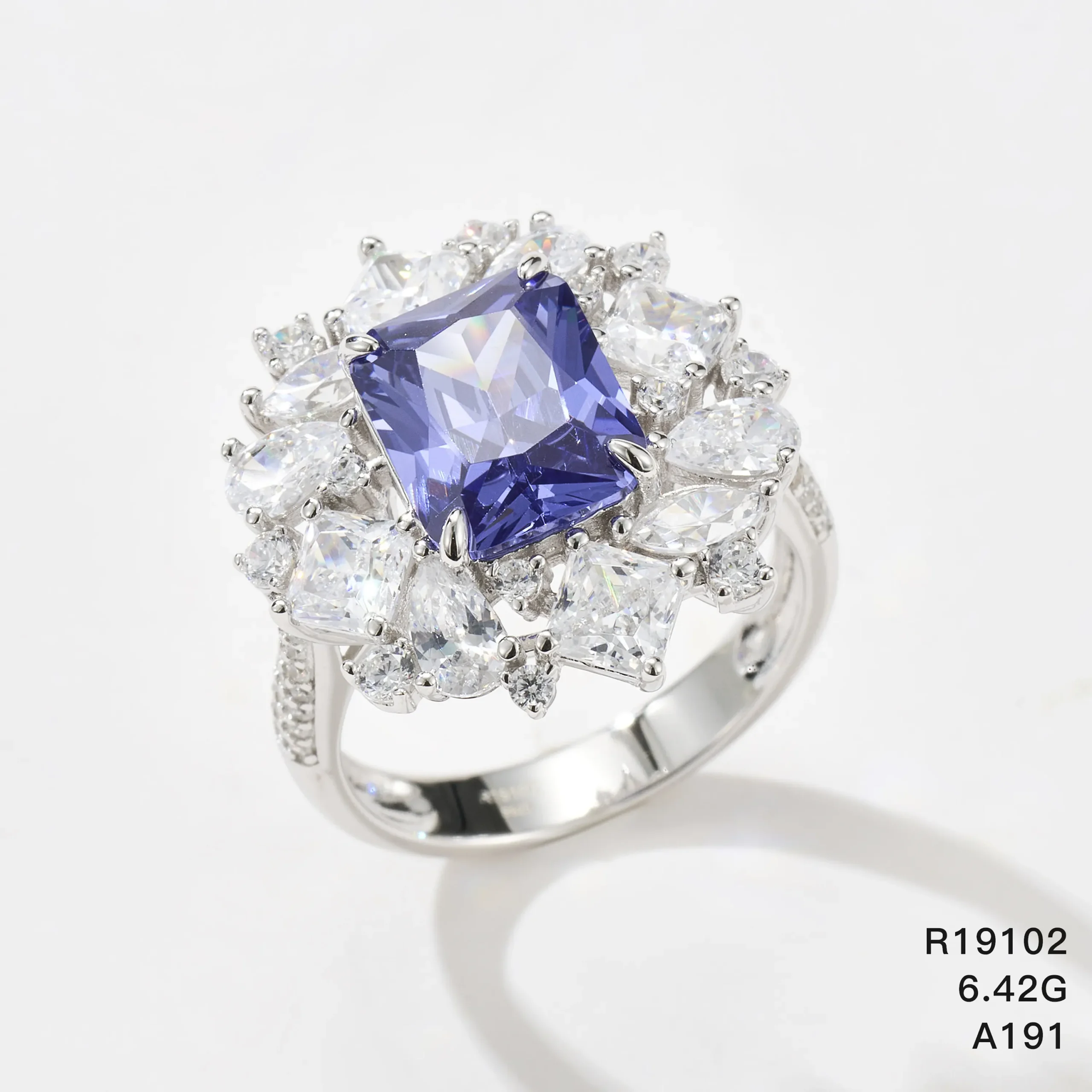 R19102