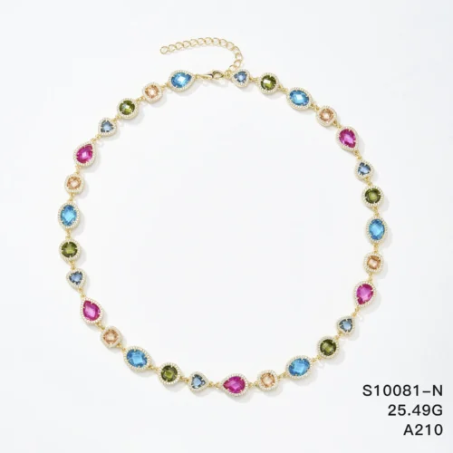 S10081-N