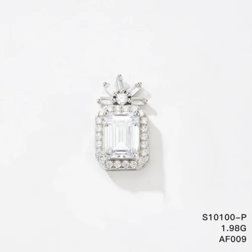 S10100-P