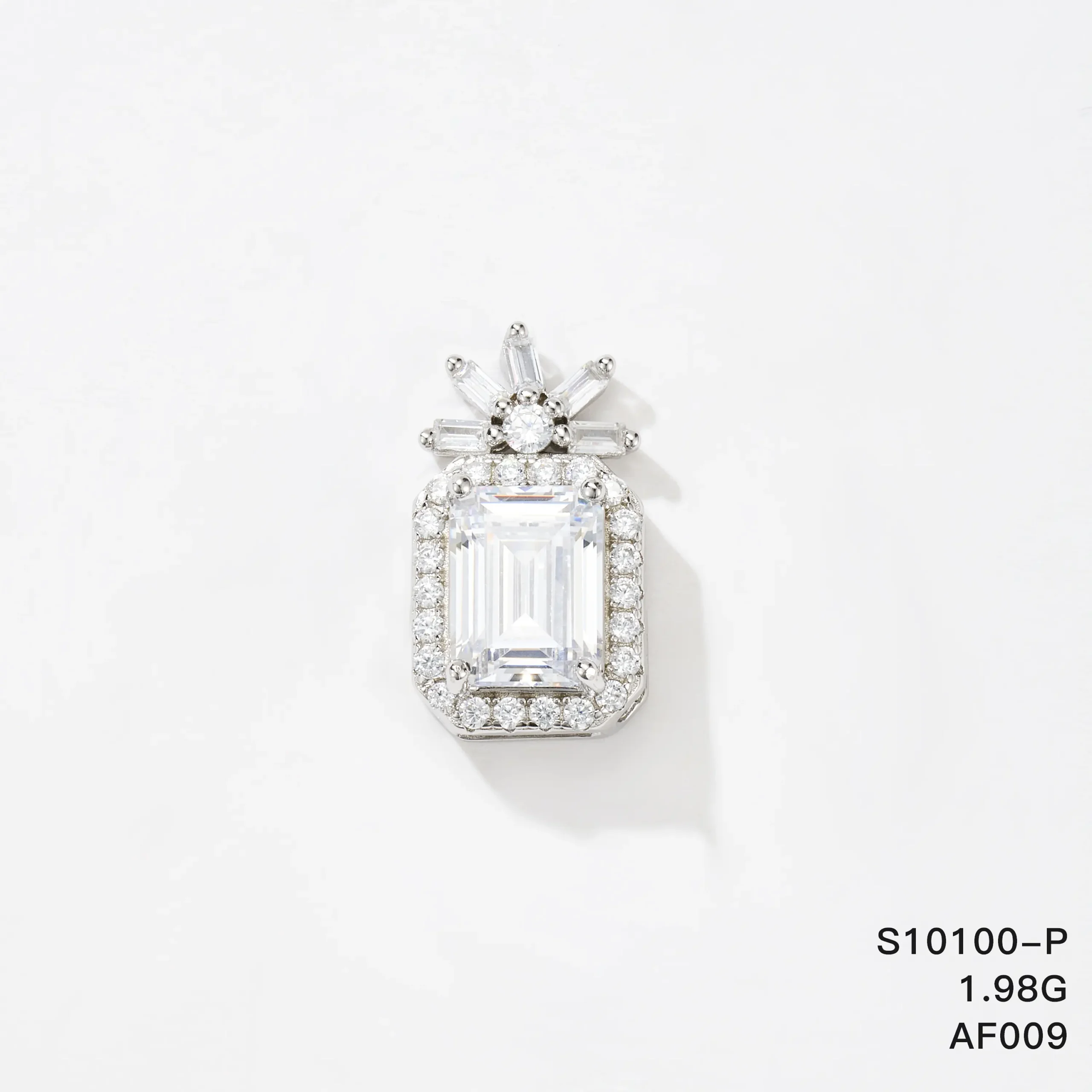 S10100-P