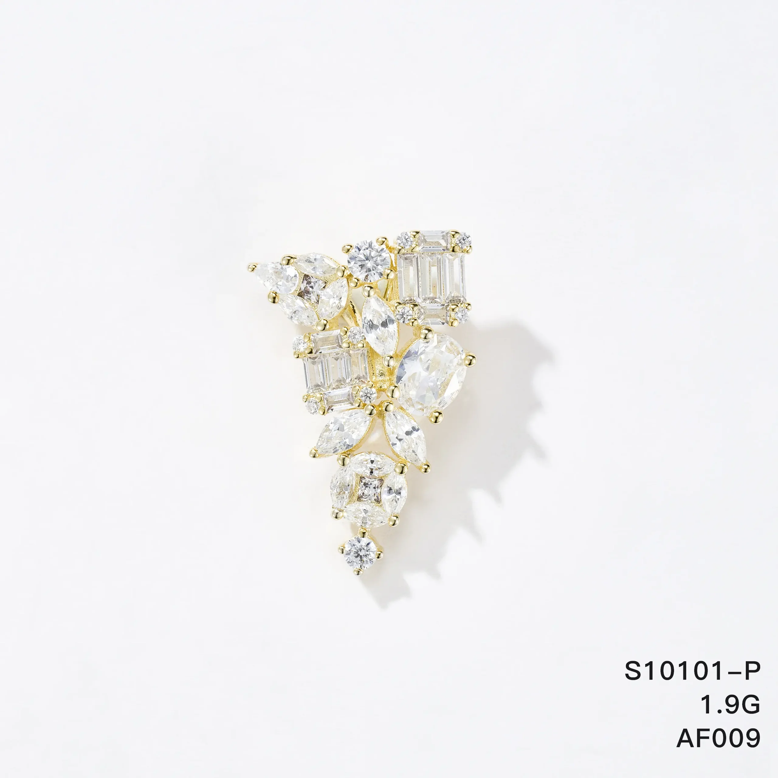 S10101-P