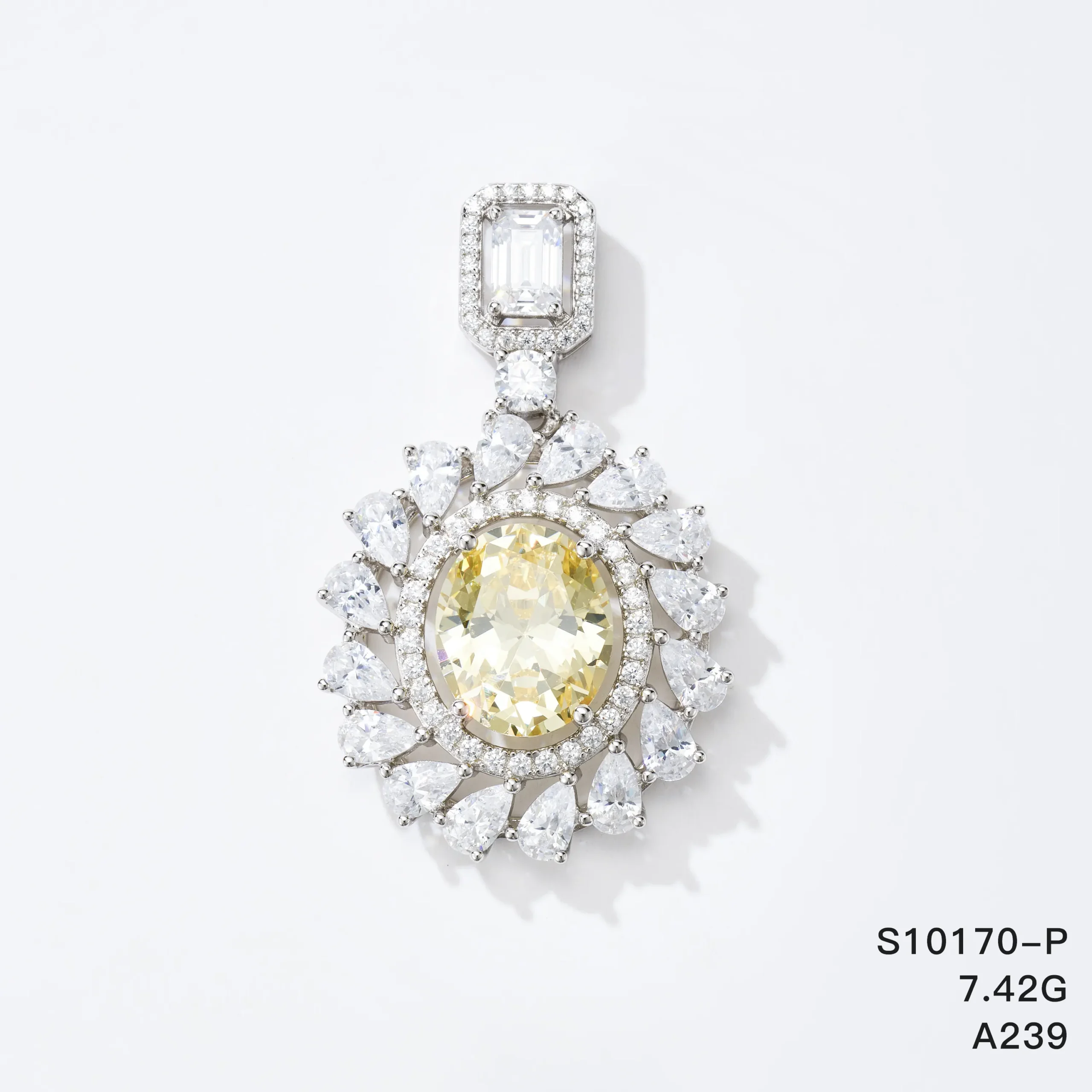 S10170-P