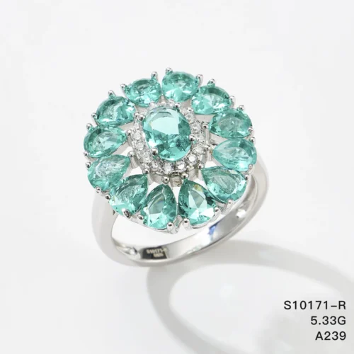 S10171-R