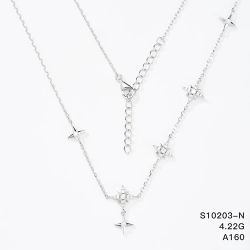 S10203-N