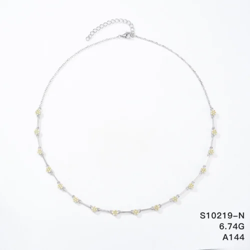 S10219-N