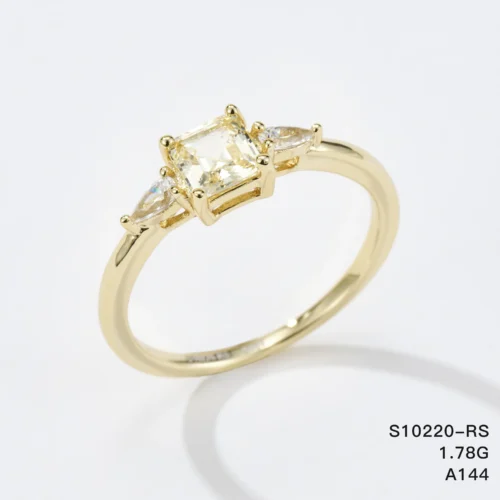 S10220-RS