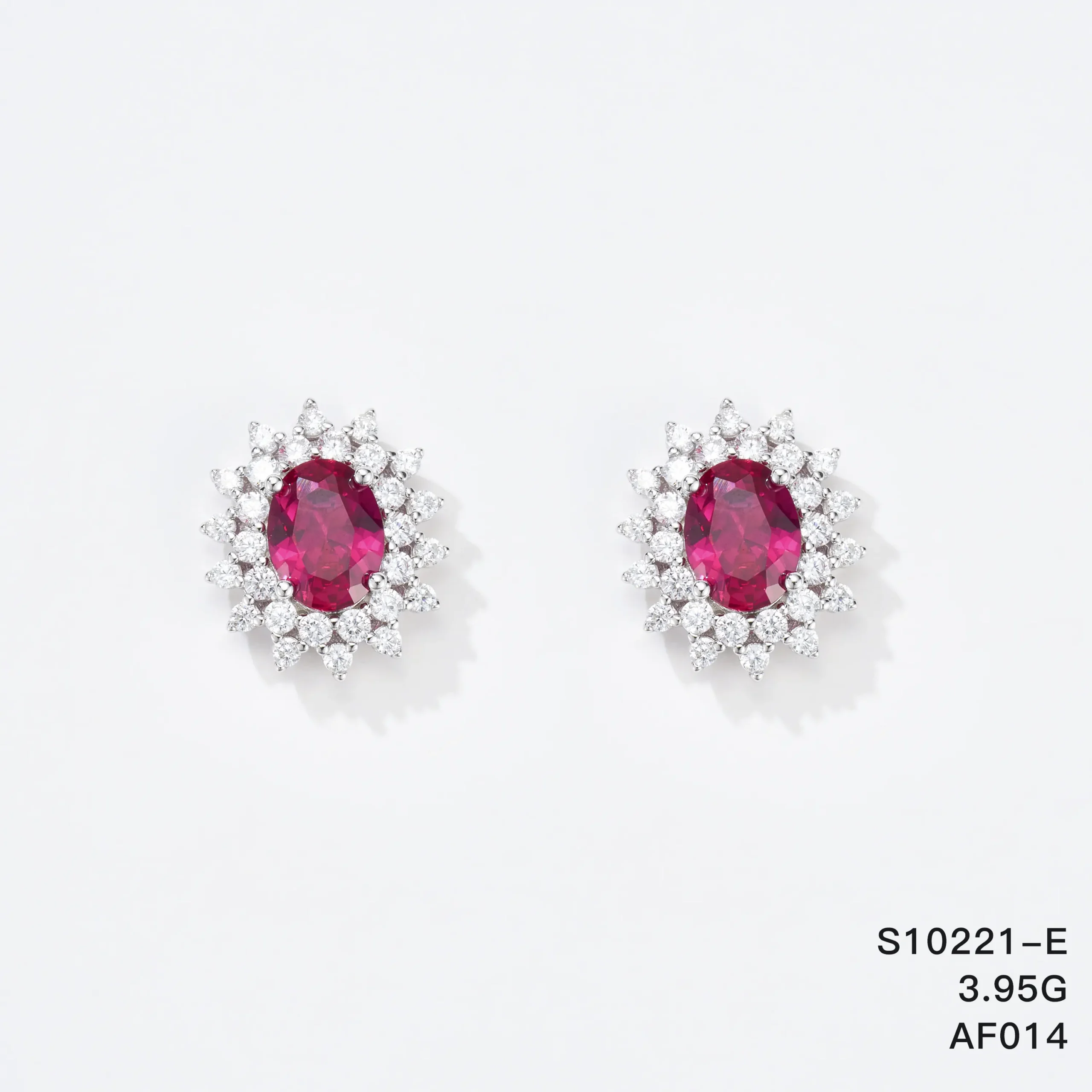 S10221-E